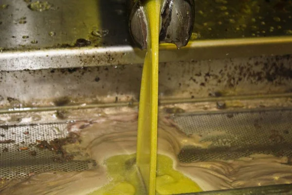 Extraktion Von Nativem Olivenöl Extra Der Olivenölmühle Griechenland — Stockfoto