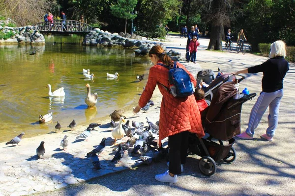 Афины Греция Марта 2020 Люди Наслаждаются Солнечным Днем Искусственном Озере — стоковое фото