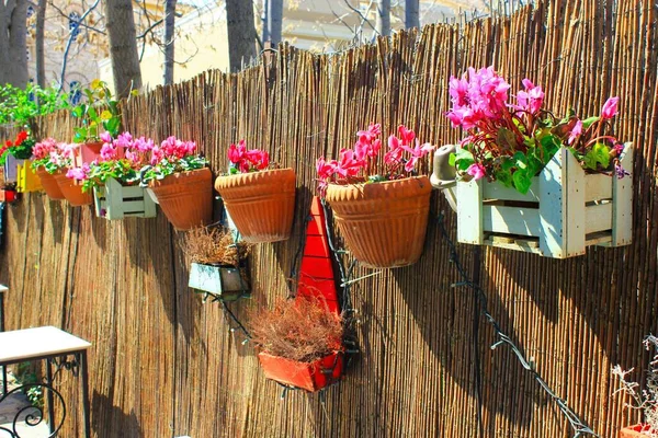 Decorative Wooden Crates Flower Pots Garden Fence — Stock Photo, Image