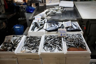 Yunanistan, Atina, 17 Haziran 2020 - Atina merkez pazarında deniz ürünleriyle oyalanıyor.