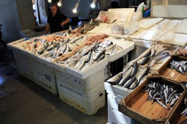 Yunanistan, Atina, 17 Haziran 2020 - Atina merkez pazarında deniz ürünleriyle oyalanıyor.