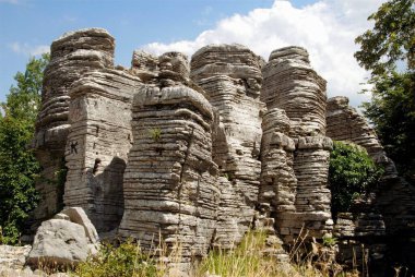 Yunanistan 'ın güneybatısındaki Epirus bölgesindeki Zagoria veya Zagorochoria olarak bilinen 45 köyden biri olan Monodendri köyünün taş ormanı..