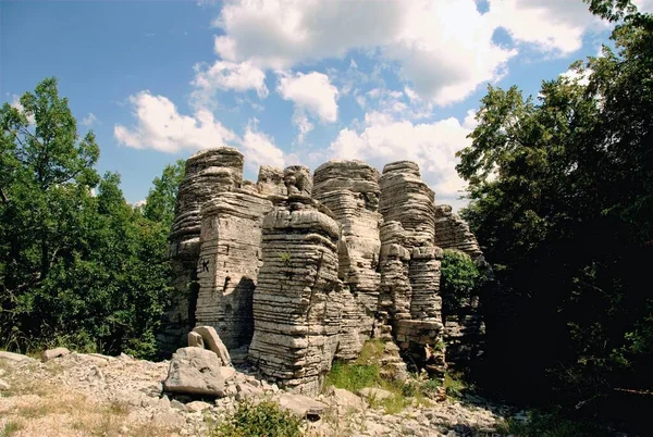 Yunanistan 'ın güneybatısındaki Epirus bölgesindeki Zagoria veya Zagorochoria olarak bilinen 45 köyden biri olan Monodendri köyünün taş ormanı..