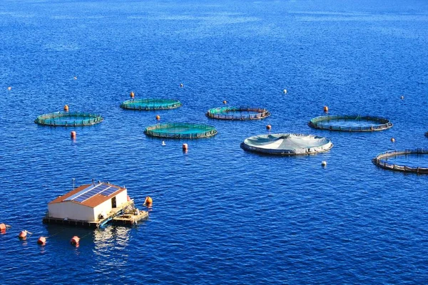 Osada Akvakultury Rybí Farma Plovoucími Kruhovými Klecemi Kolem Zátoky Attica — Stock fotografie