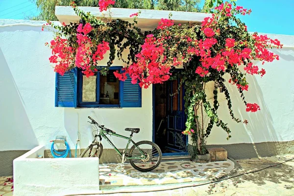 Görögország Antiparos Sziget Kilátás Ház Borított Bougainvillea Virágok Város Antiparos — Stock Fotó