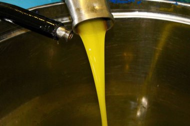 Yunanistan 'daki zeytinyağı fabrikasında ekstra bakire zeytin yağı çıkarma işlemi.