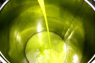 Yunanistan, Attica ve zeytinyağı fabrikasında ekstra bakire zeytin yağı çıkarma süreci.