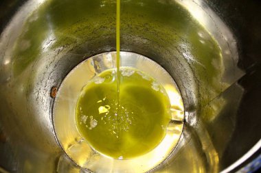 Yunanistan, Attica ve zeytinyağı fabrikasında ekstra bakire zeytin yağı çıkarma süreci.