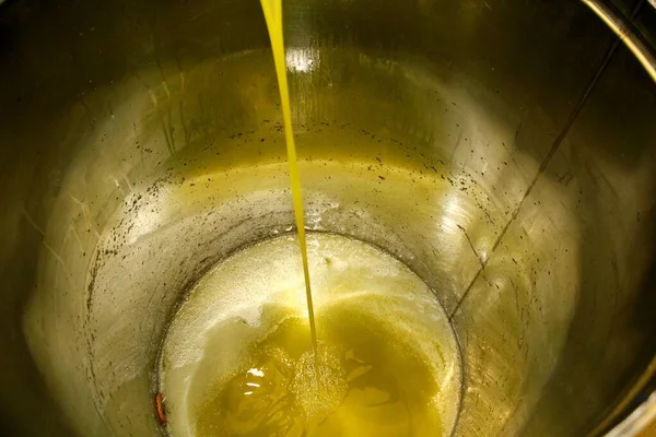 Yunanistan 'daki zeytinyağı fabrikasında ekstra bakire zeytin yağı çıkarma işlemi.