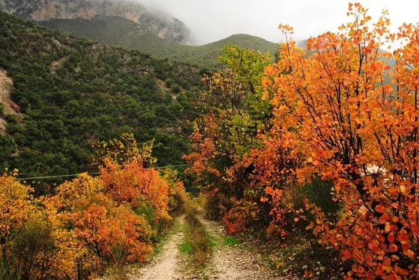 Cores Outonais Monte Taygetus Região Peloponeso Sul Grécia — Fotografia de Stock