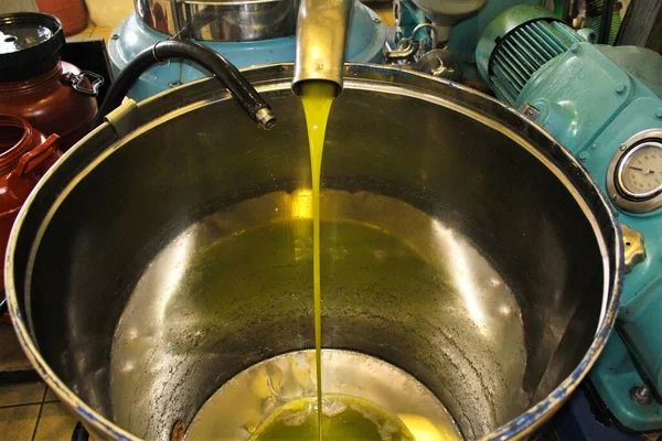 Yunanistan 'ın Attica kentindeki Atina kentinde zeytin yağı fabrikasında ekstra bakire zeytin yağı çıkarma süreci.