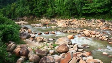 Ormanda büyük kayalıklarla dolu bir dere.