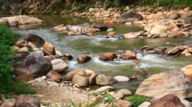 Ormanda büyük kayalıklarla dolu bir dere.