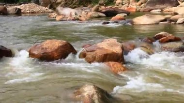 Ormanda büyük kayalıklarla dolu bir dere.