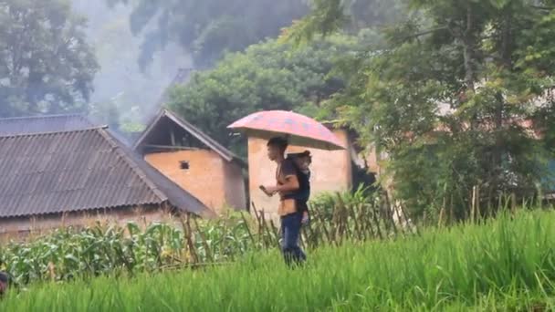 Rumah Rumah Tanah Tradisional Etnis Minoritas Vietnam — Stok Video