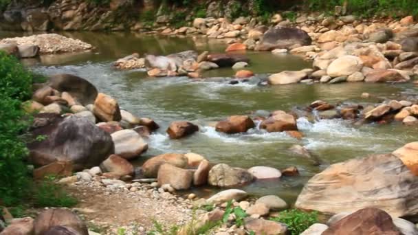 Fluxo Com Grandes Rochas Floresta — Vídeo de Stock