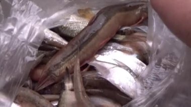 Pazarda karides ve balık