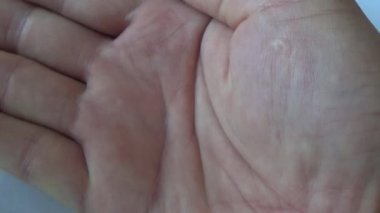 Tuz ve biberle kavrulmuş kaju.