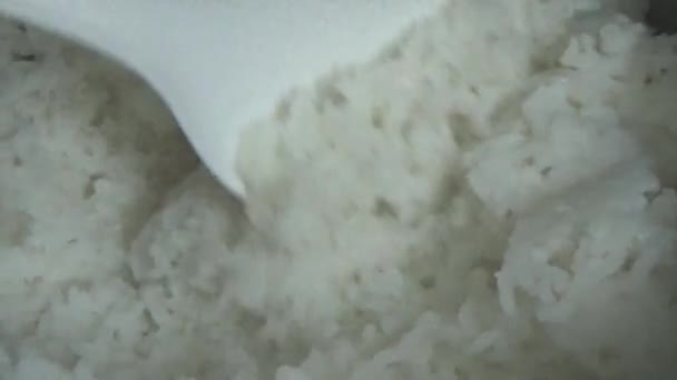 Cozinhar Arroz Uma Panela Elétrica — Vídeo de Stock