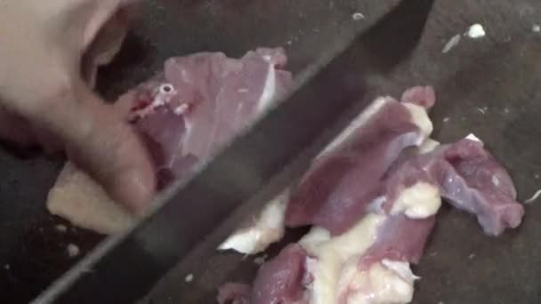 Επεξεργασία Και Μαγείρεμα Πιάτα Κρέατος Χήνας — Αρχείο Βίντεο