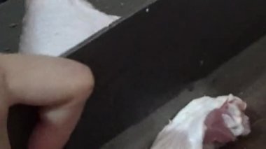 Kaz eti işleme ve pişirme