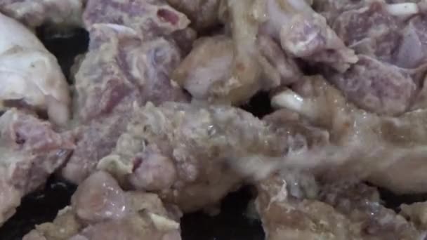 Переработка Приготовление Блюд Мяса Гуся — стоковое видео