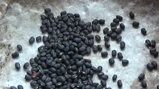 Sesame Seeds Peanuts Beans Dried — Stock Video