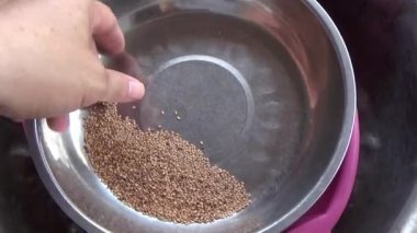 susam, fıstık ve fasulye kurumuş.