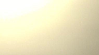 Rüzgarda ve güneşte yeşil pirinç tarlası