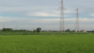 Yeşil pirinç tarlası ve elektrik santrali