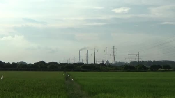 Campo Arroz Verde Usina Elétrica — Vídeo de Stock