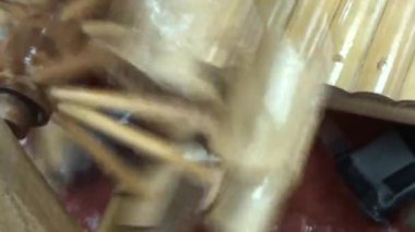 Tatil köyündeki turistler için hediyelik eşyalar