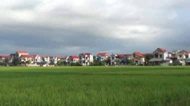 Pirinç tarlaları ve köyler