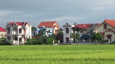 Pirinç tarlaları ve köyler