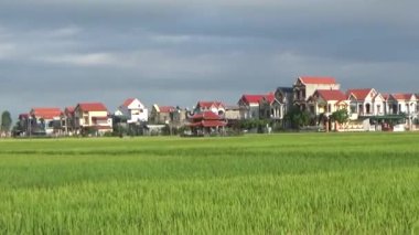 Pirinç tarlaları ve köyler