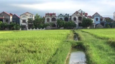 Pirinç tarlaları ve köyler