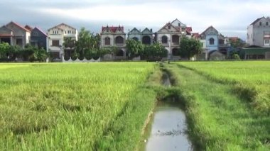 Pirinç tarlaları ve köyler