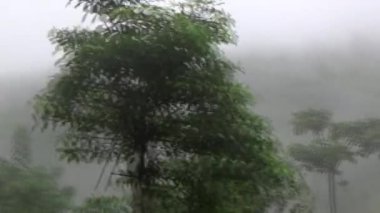 Yağmurda bir dağ yolunda araba sürmek