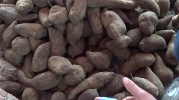 시금치 뿌리를 시장에서 — 비디오