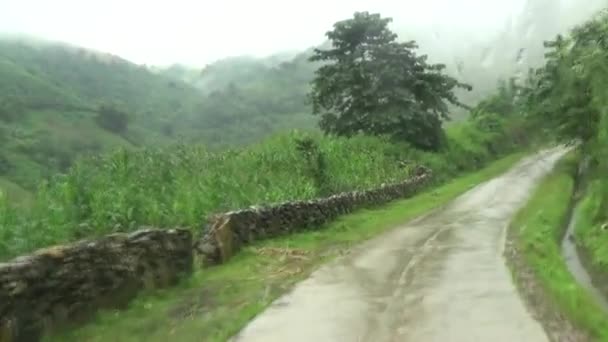 雨の中で山道を車で走る — ストック動画