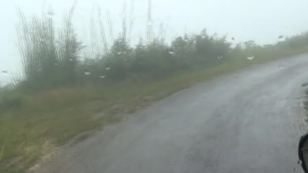 雨の中で山道を車で走る — ストック動画
