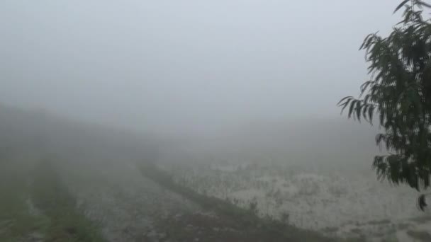 Conducir Coche Una Carretera Montaña Bajo Lluvia — Vídeos de Stock