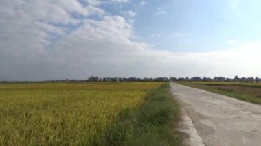 Pirinç tarlaları ve köyler