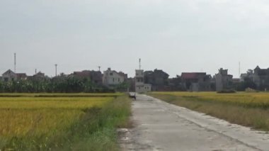 Pirinç tarlaları ve köyler