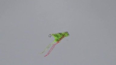 Uçurtmalar gökyüzünde uçuyor