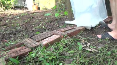 Bahçede yabani otları otlatan çiftçiler