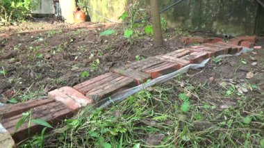 Bahçede yabani otları otlatan çiftçiler