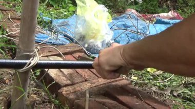 Çiftçi sebze bahçesi için su boruları kuruyor