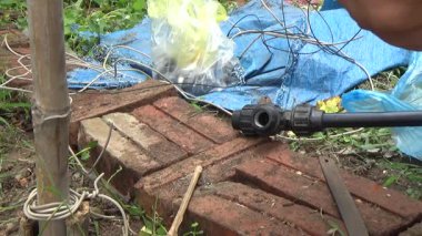 Çiftçi sebze bahçesi için su boruları kuruyor