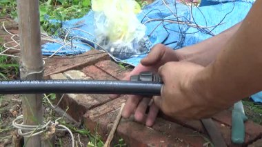 Çiftçi sebze bahçesi için su boruları kuruyor